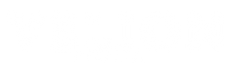Velion Moda - Inicio